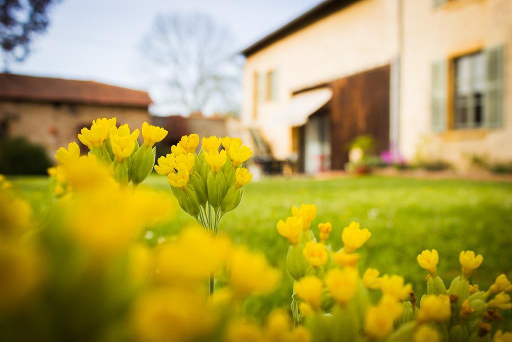 Aux Ronzieres Bed & Breakfast Pouilly-sous-Charlieu ห้อง รูปภาพ